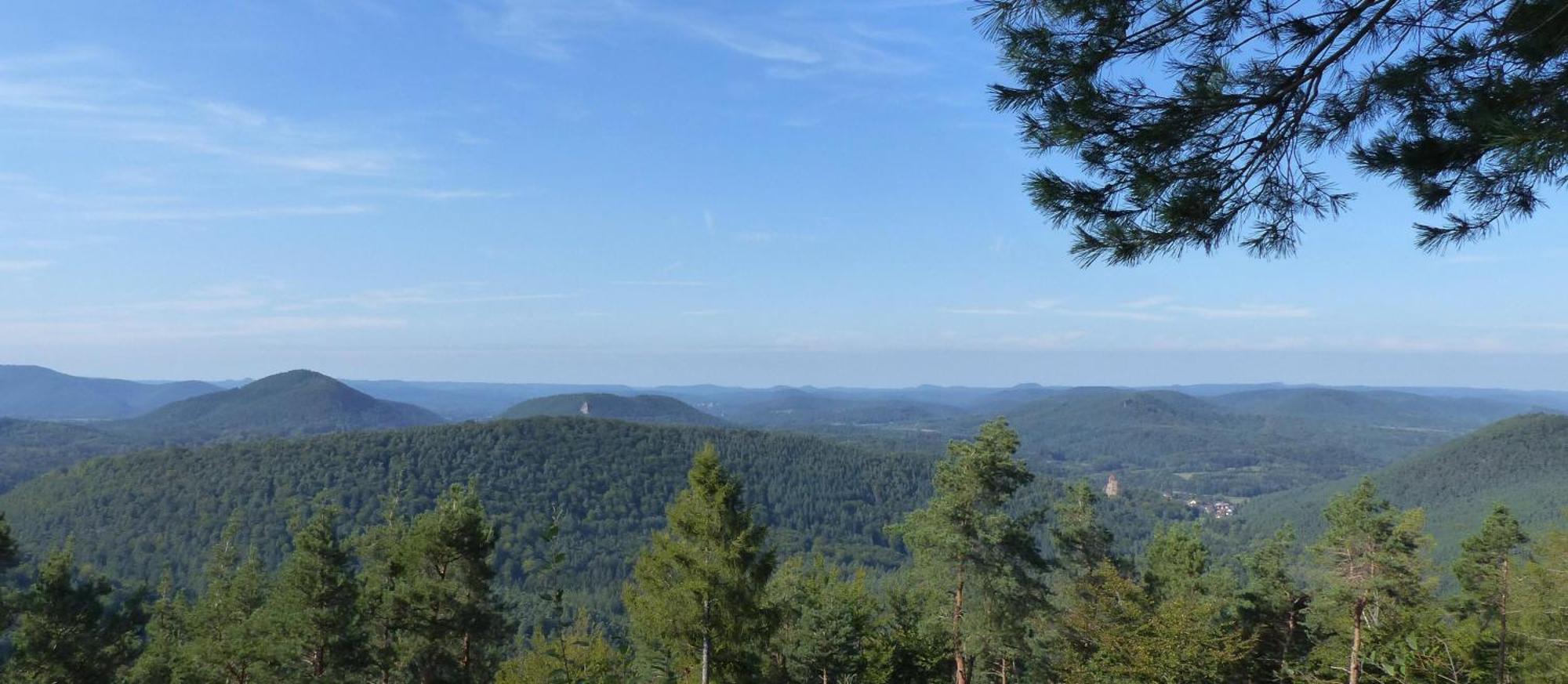 Ferienwohnung "Monte Noble" Suedpfalz Erlenbach  Zewnętrze zdjęcie