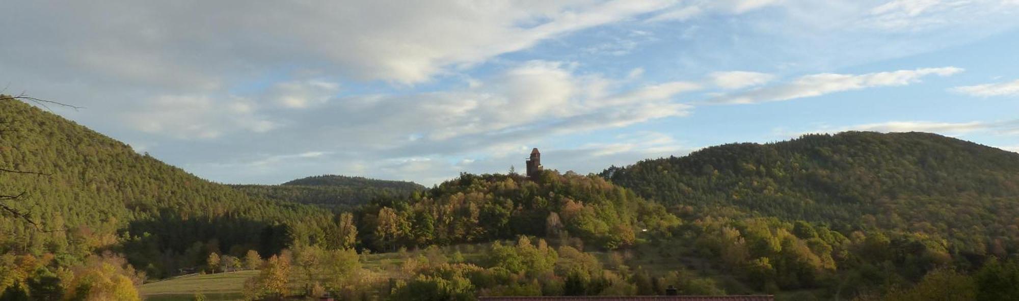Ferienwohnung "Monte Noble" Suedpfalz Erlenbach  Zewnętrze zdjęcie